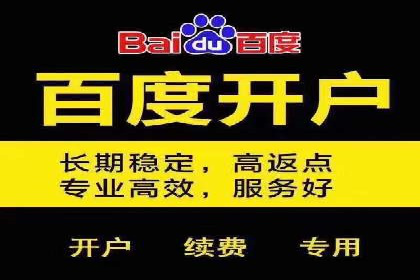 百度SEO推广公司案例分析：成功案例解析