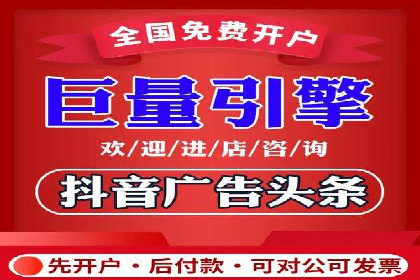 解析某某SEM服务公司的广告投放策略与效果评估